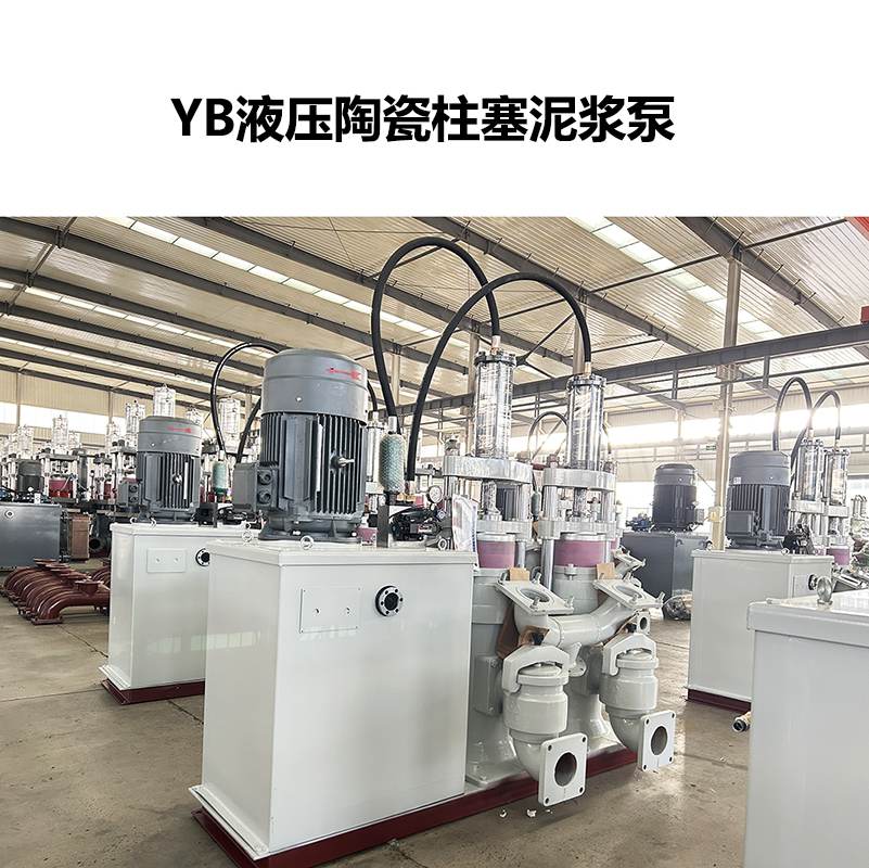 洗煤廠(chǎng)污泥處理柱塞泵 